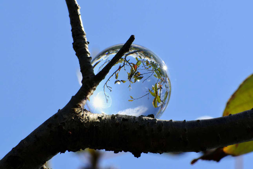 Glaskugel in Baum mit Sonnenlicht