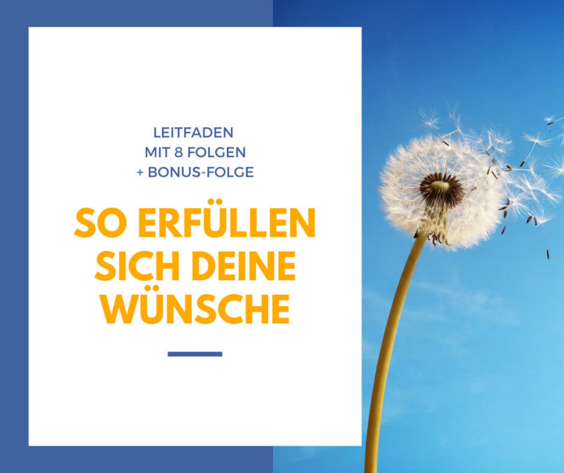 Wunschleitfaden erhalten